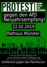 Plakat AfD-Protest Februar 2019